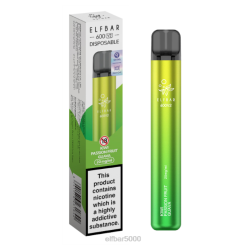 elfbar 600v2 vienkartinis vape - 20mg kivi pasifloros gvajava - ELFBAR Disposable V20N12