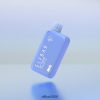 ELFBAR BC10000 vienkartinis vape dinmol leidimas mėlynių ledų BR82PR22
