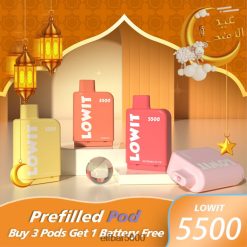 ELFBAR iš anksto užpildytas pod lowit 5500 išpūtimų 2%nic mėlynių ledų 6T86DN138 - ELF BAR 5006